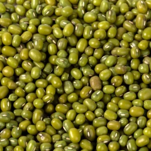 Srilankan organic Mung Beans Translink Healthy Life