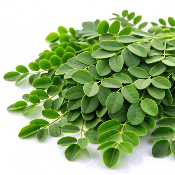 Organic Moringa Pasta 400g - Image 2