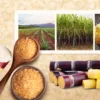 The Truth About Brown Sugar